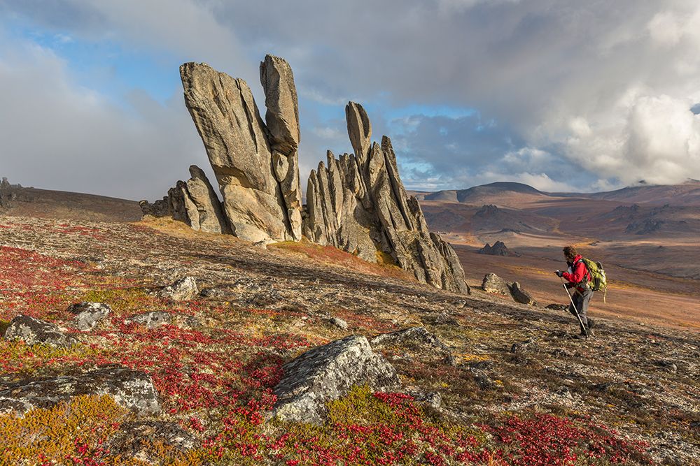 Hiker Among The Tors In The Bering Land Bridge National Preserve, Seward Peninsula, Alaska. art print by Patrick J Endres for $57.95 CAD