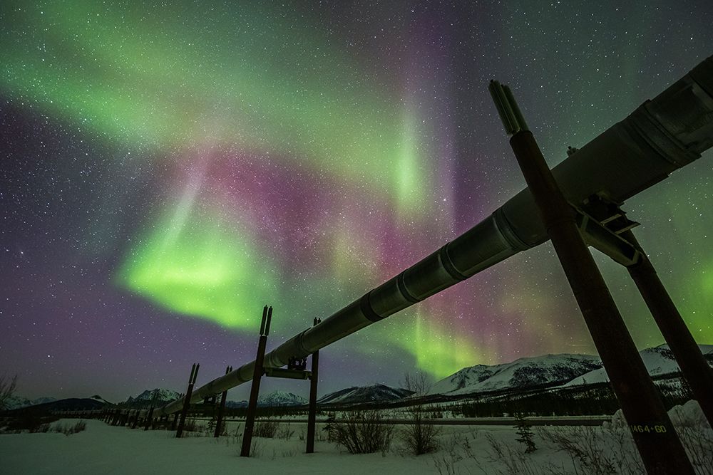 Northern Lights And The Alaska Oil Pipeline, Brooks Range In The Distance. Arctic, Alaska. art print by Patrick J Endres for $57.95 CAD