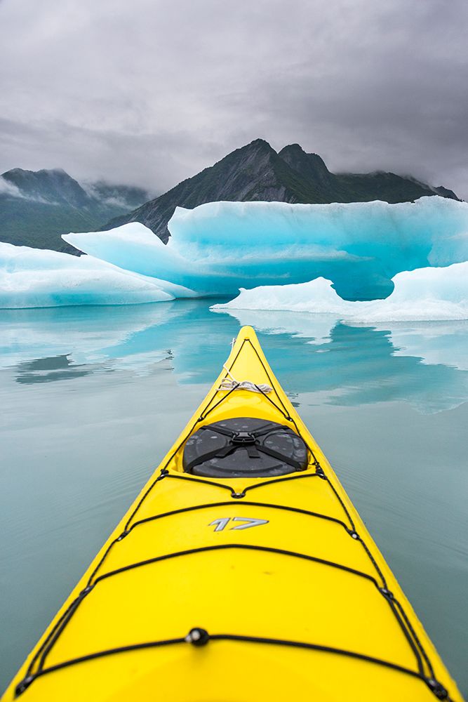 Sea Kayaking Among Icebergs In Bear Glacier Lagoon, Kenai Fjords National Park, Alaska. art print by Patrick J Endres for $57.95 CAD