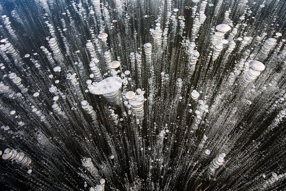 Methane Bubbles Frozen In Ice, Small Pond, Brooks Range, Alaska art print by Patrick J Endres for $57.95 CAD