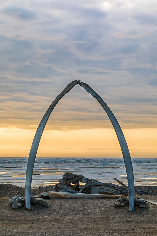 Jawbones From Bowhead Whale And Umiaks (Walrus Boat Frame) Along Arctic Ocean In Utqiagvik Arctic. art print by Patrick J Endres for $57.95 CAD