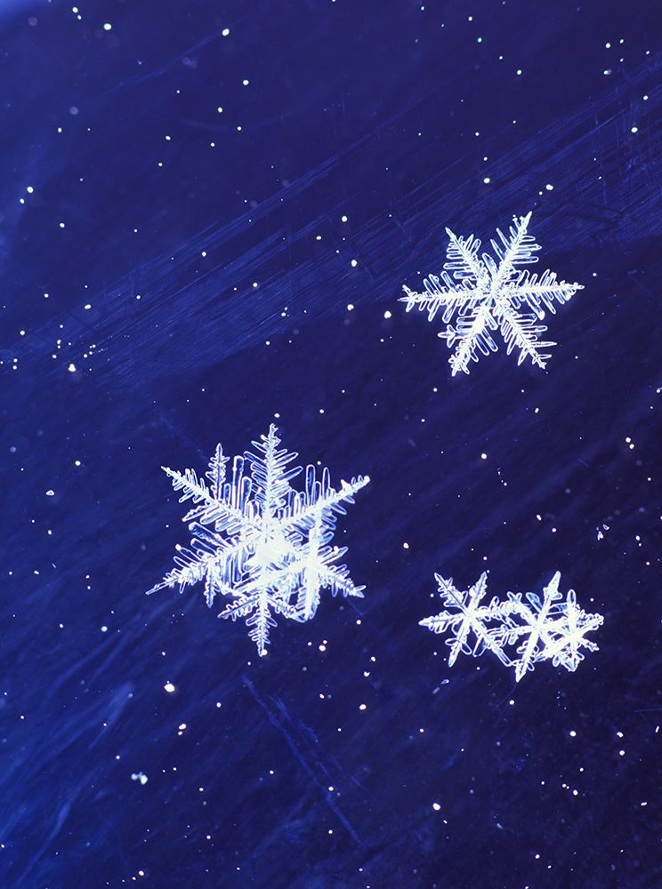 Snowflakes On Glass, Delta Junction, Alaska art print by Patrick J Endres for $57.95 CAD