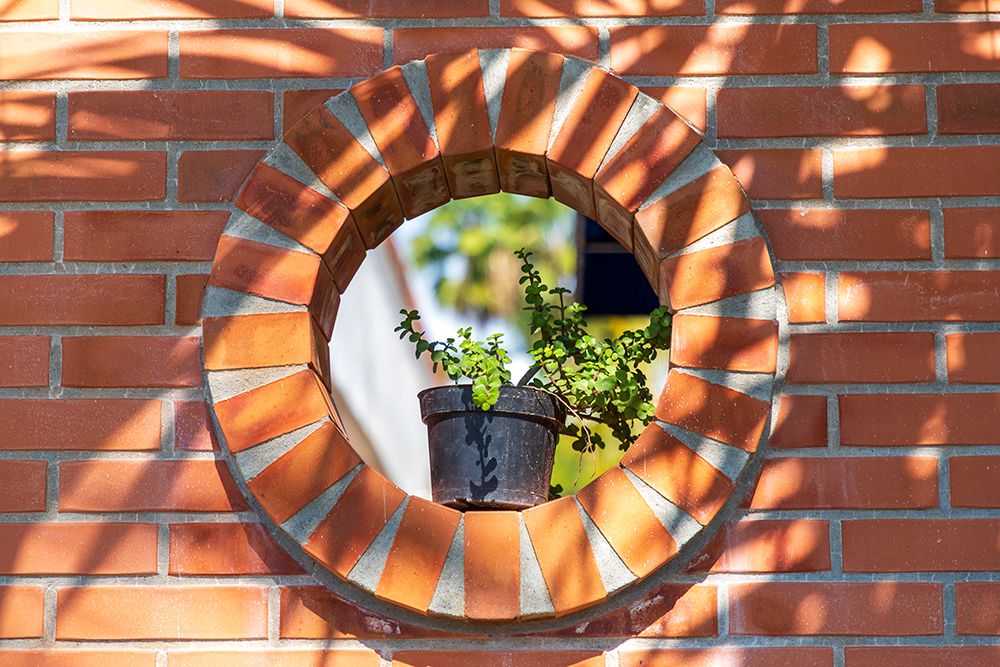 Mexico, Nayarit, Bahia De Banderas, Nuevo Vallarta. Brick Wall, Plant In Circular Opening. art print by Emily M Wilson for $57.95 CAD