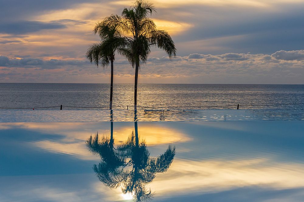 Mexico, Nayarit, Bahia De Banderas, Nuevo Vallarta. Palm Trees Reflected In Infinity Pool art print by Emily M Wilson for $57.95 CAD