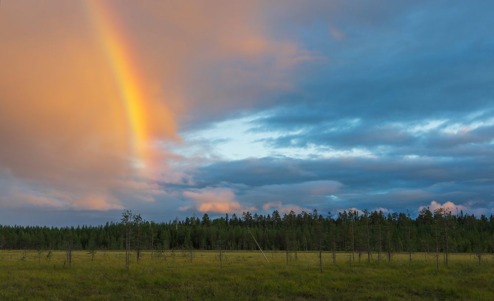 Rainbow Over Forest Meadow art print by Ken Archer for $57.95 CAD