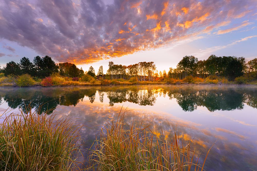 Autumn Sunrise, Deschutes River Above Dillon Falls, Bend, Oregon, USA art print by Ric Ergenbright for $57.95 CAD