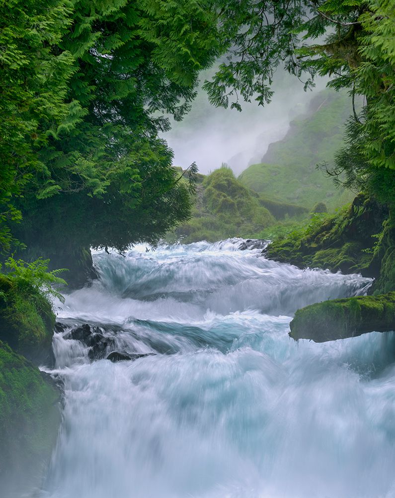 Sahalie Falls Rapids, Mckenzie River, Oregon Cascade Range, Willamette National Forest art print by Ric Ergenbright for $57.95 CAD
