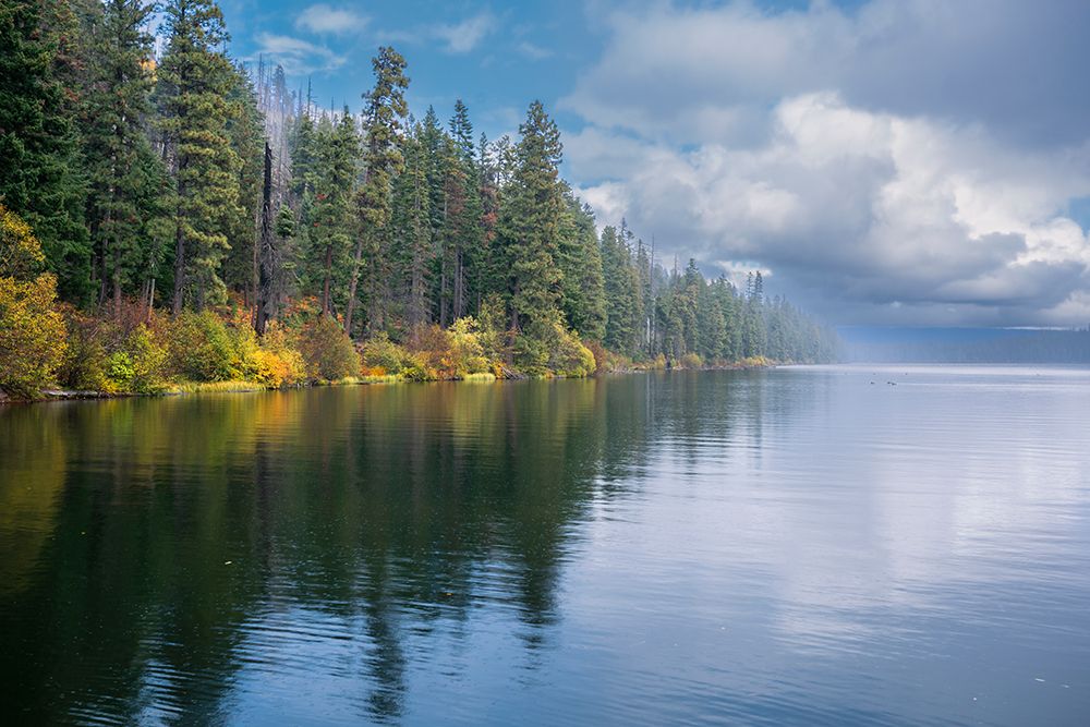 Clearing Autumn Storm, Suttle Lake, Central Oregon Cascades, Jefferson County, Oregon, USA art print by Ric Ergenbright for $57.95 CAD