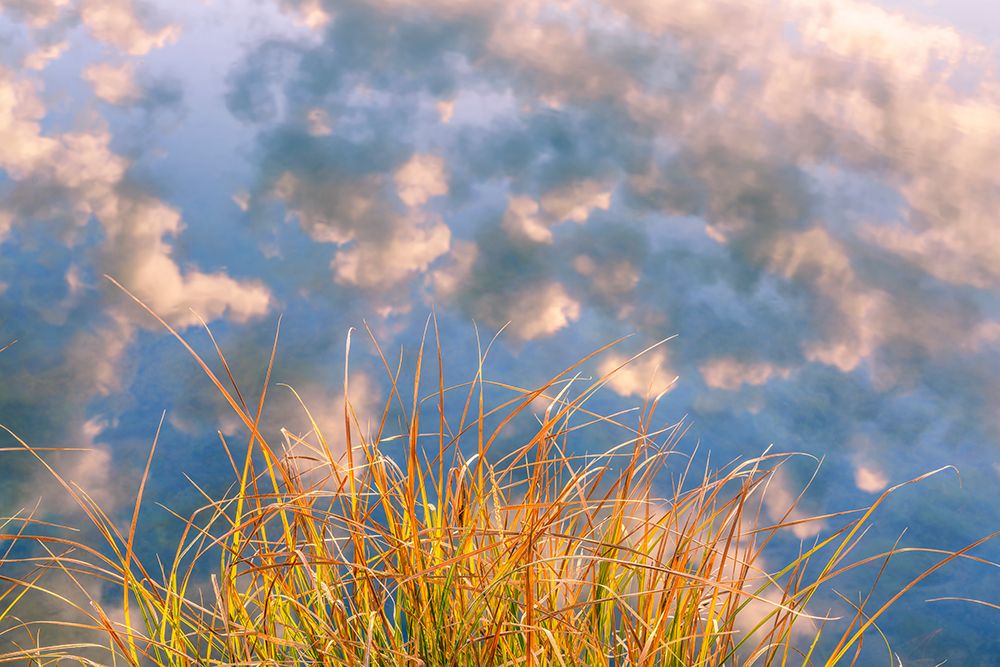 Autumn Reflection, Deschutes River Above Dillon Falls, Deschutes County, Bend, Oregon, USA art print by Ric Ergenbright for $57.95 CAD