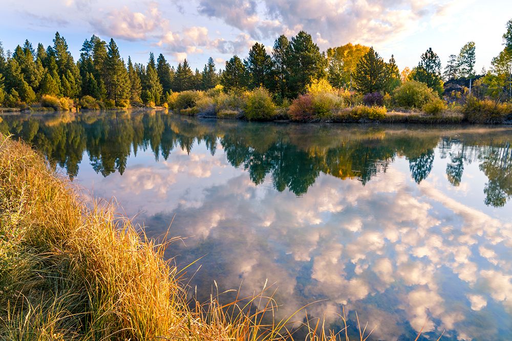 Autumn Reflection, Deschutes River Above Dillon Falls, Deschutes County, Bend, Oregon, USA art print by Ric Ergenbright for $57.95 CAD