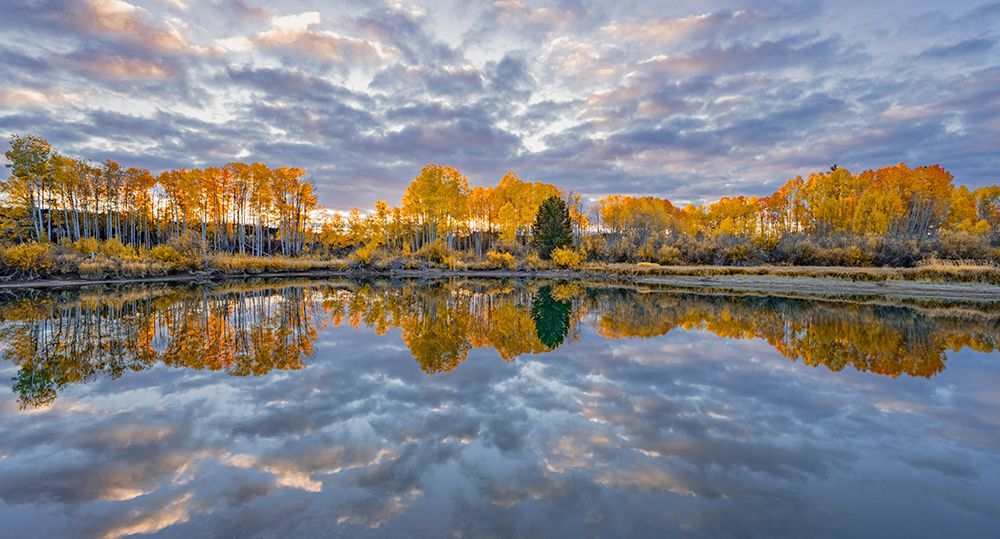 Sunrise Reflection, Autumn Aspen, Deschutes River Above Dillon Falls, Deshutes County art print by Ric Ergenbright for $57.95 CAD