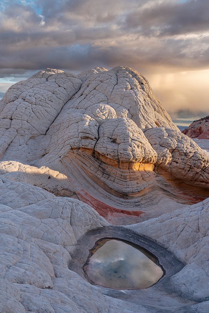 Arizona, Vermilion Cliffs National Monument. Close-Up Of Sandstone Patterns And Water Reflection. art print by Don Grall for $57.95 CAD