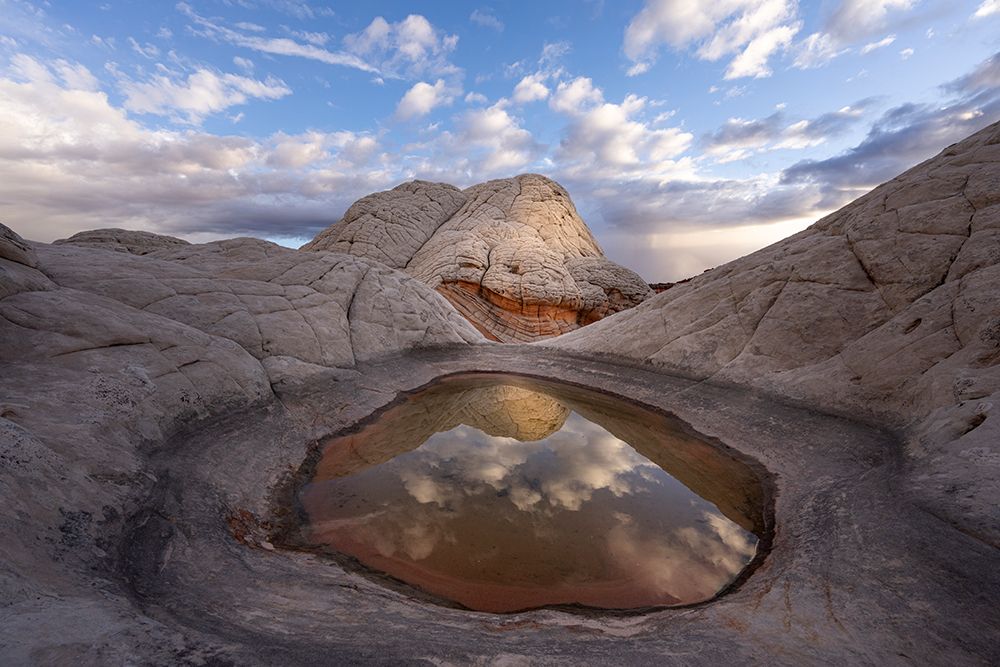 Arizona, Vermilion Cliffs National Monument. Close-Up Of Sandstone Patterns And Water Reflection. art print by Don Grall for $57.95 CAD