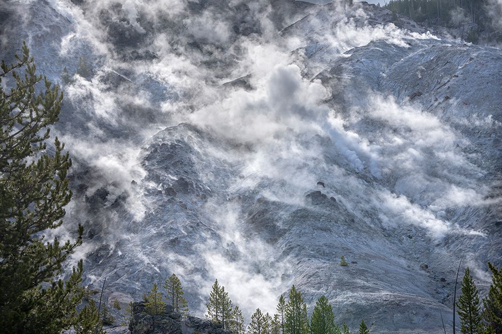 USA, Wyoming, Yellowstone National Park. Fumaroles Emit Steam From Mountain On Spring Morning. art print by Don Grall for $57.95 CAD