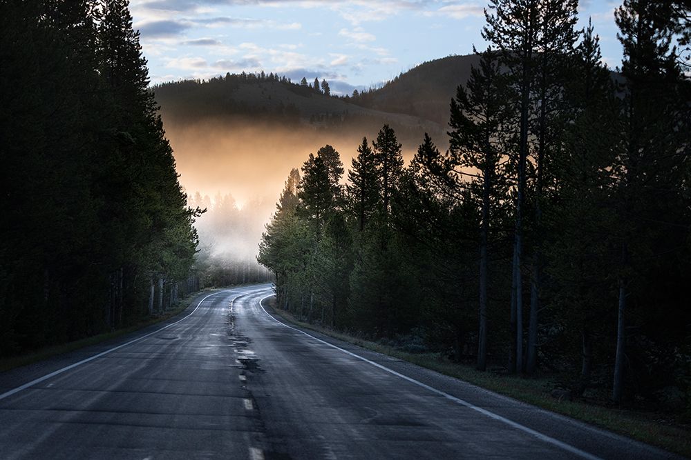 USA, Wyoming, Yellowstone National Park. Sunrise Mist On Road And Forest. art print by Don Grall for $57.95 CAD