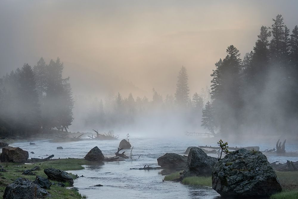 USA, Wyoming, Yellowstone National Park. Sunrise Fog On Madison River And Forest. art print by Don Grall for $57.95 CAD