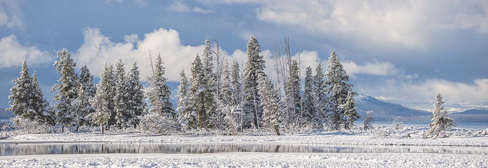 USA, Wyoming, Yellowstone National Park. Spring Snow And Trees Reflect In Yellowstone Lake art print by Don Grall for $57.95 CAD