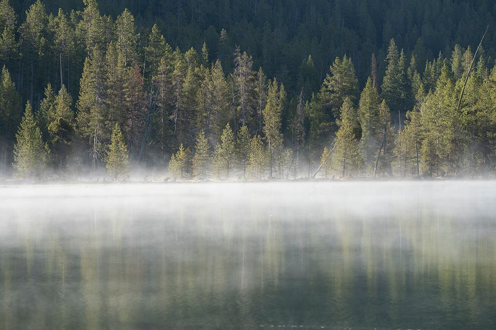 USA, Wyoming, Yellowstone National Park. Sunrise Fog On Lake In Spring. art print by Don Grall for $57.95 CAD