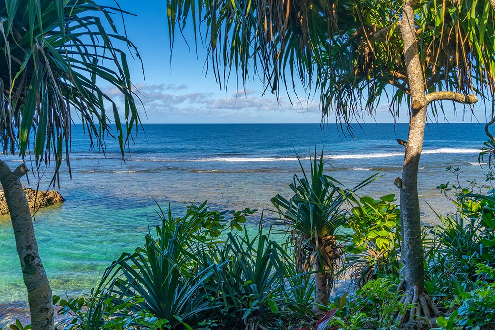 Fiji, Vanua Levu, Savasi Island Resort. Ocean Seascape And Palm Trees. art print by Cathy And Gordon Illg for $57.95 CAD