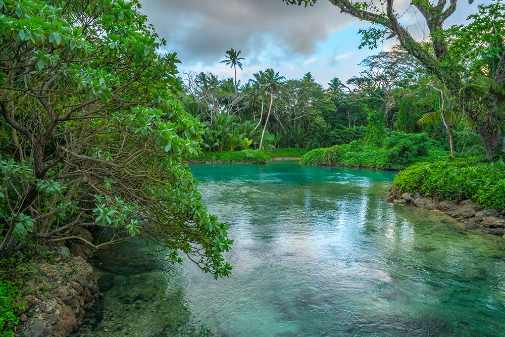 Fiji, Vanua Levu, Savasi Island Resort. Landscape With Water And Forest Reflections. art print by Cathy And Gordon Illg for $57.95 CAD
