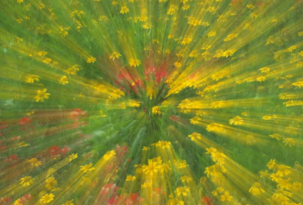 Garden Abstract art print by Nancy Rotenberg for $57.95 CAD