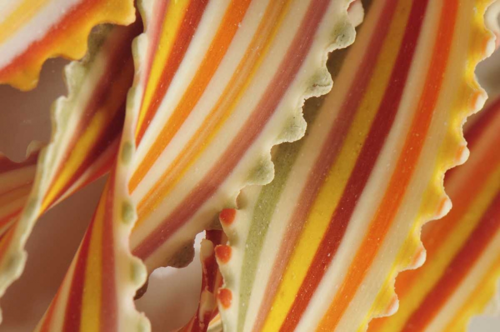 USA Close-up of dried rainbow pasta noodles art print by Steve Terrill for $57.95 CAD