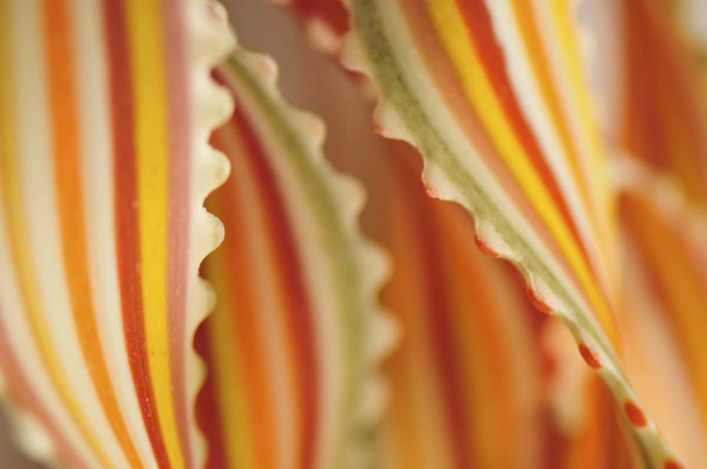 USA Close-up of dried rainbow pasta noodles art print by Steve Terrill for $57.95 CAD