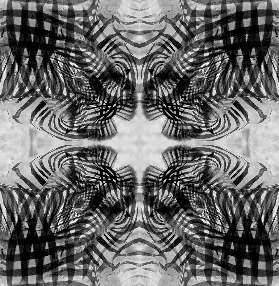 Black and white kaleidoscope abstract of a zebra art print by Jaynes Gallery for $57.95 CAD