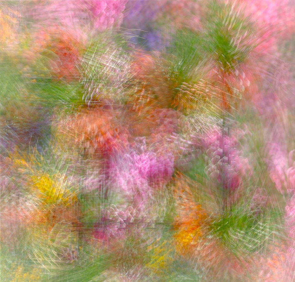 Colorful floral abstract art print by Jaynes Gallery for $57.95 CAD
