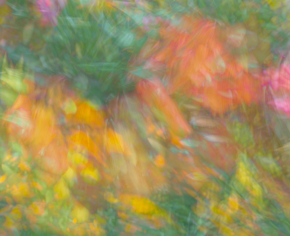 Pastel color abstract art print by Jaynes Gallery for $57.95 CAD