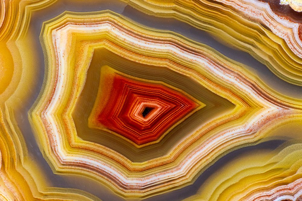 Laguna agate from Mexico art print by Darrell Gulin for $57.95 CAD