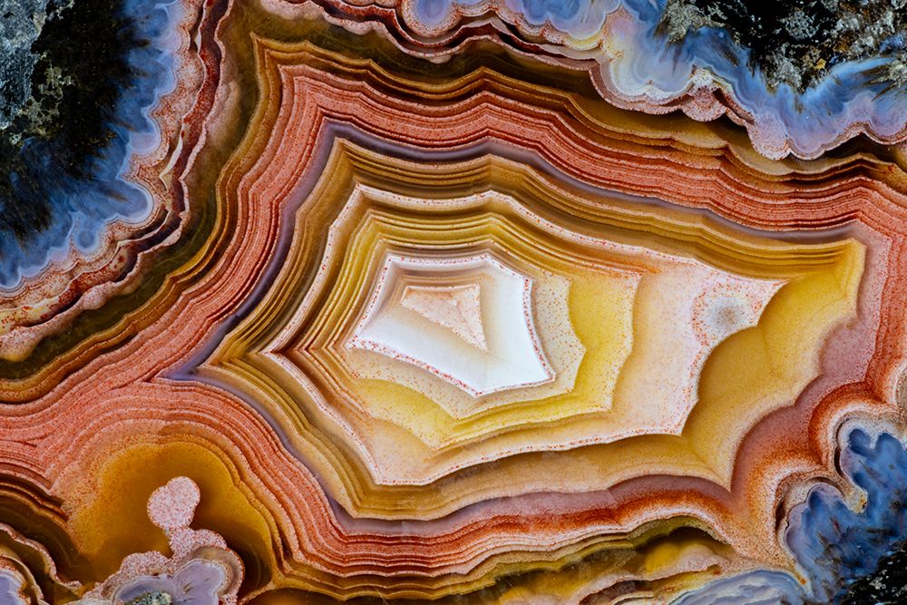Laguna agate from Mexico art print by Darrell Gulin for $57.95 CAD