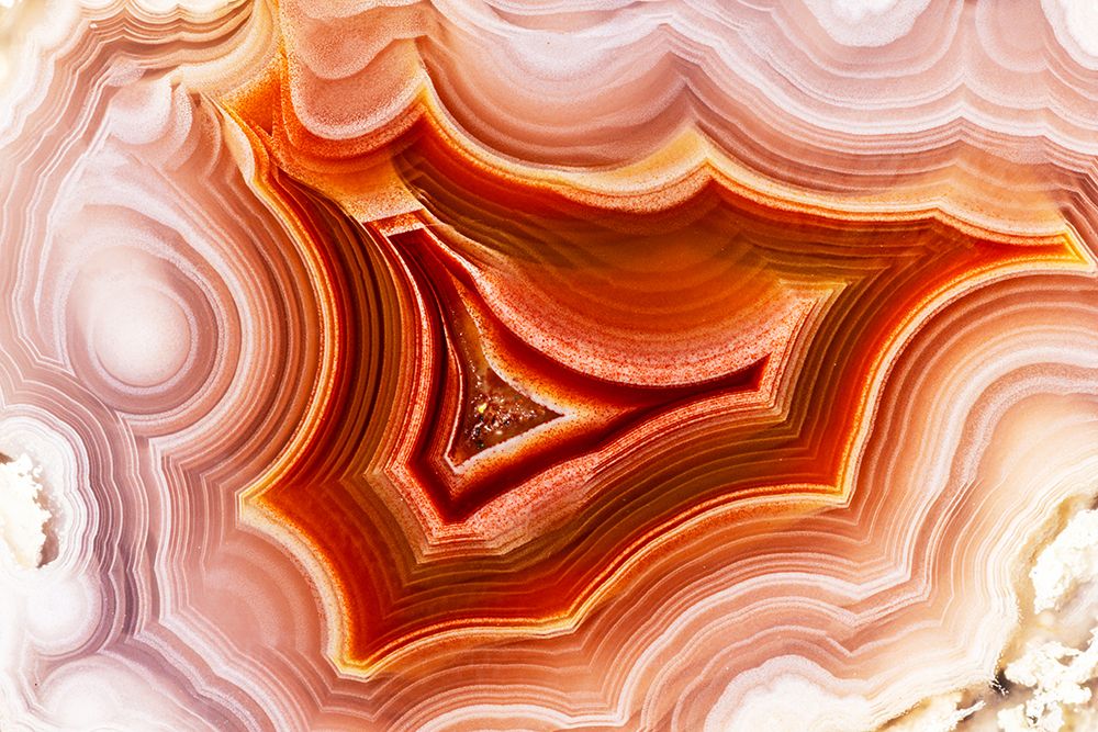 Laguna agate from Mexico art print by Darrell Gulin for $57.95 CAD