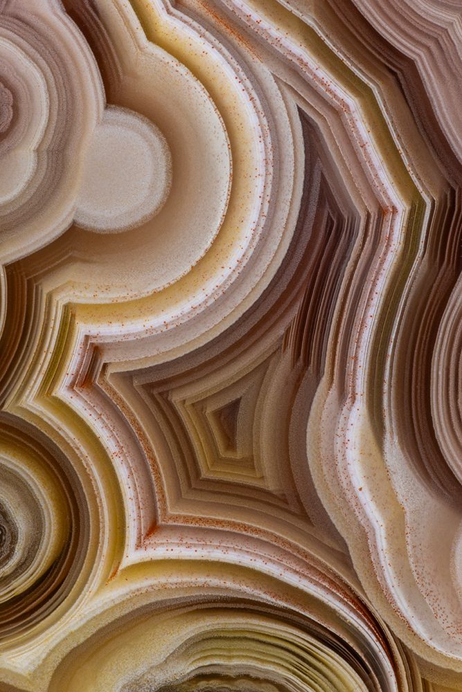Laguna agate from Mexico art print by Darrell Gulin for $57.95 CAD