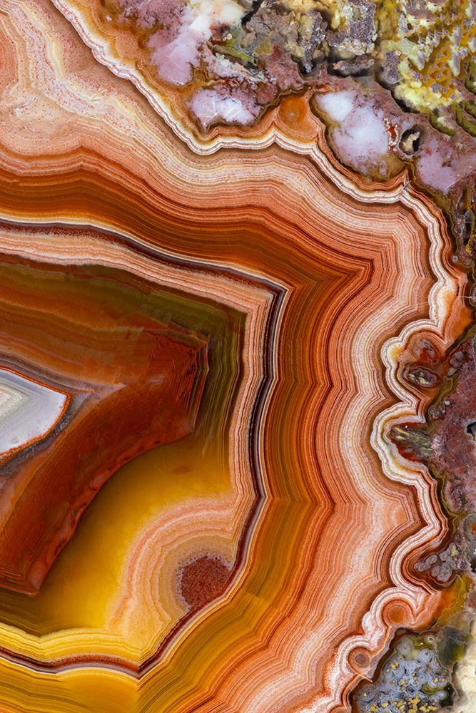 Laguna agate from Mexico art print by Darrell Gulin for $57.95 CAD