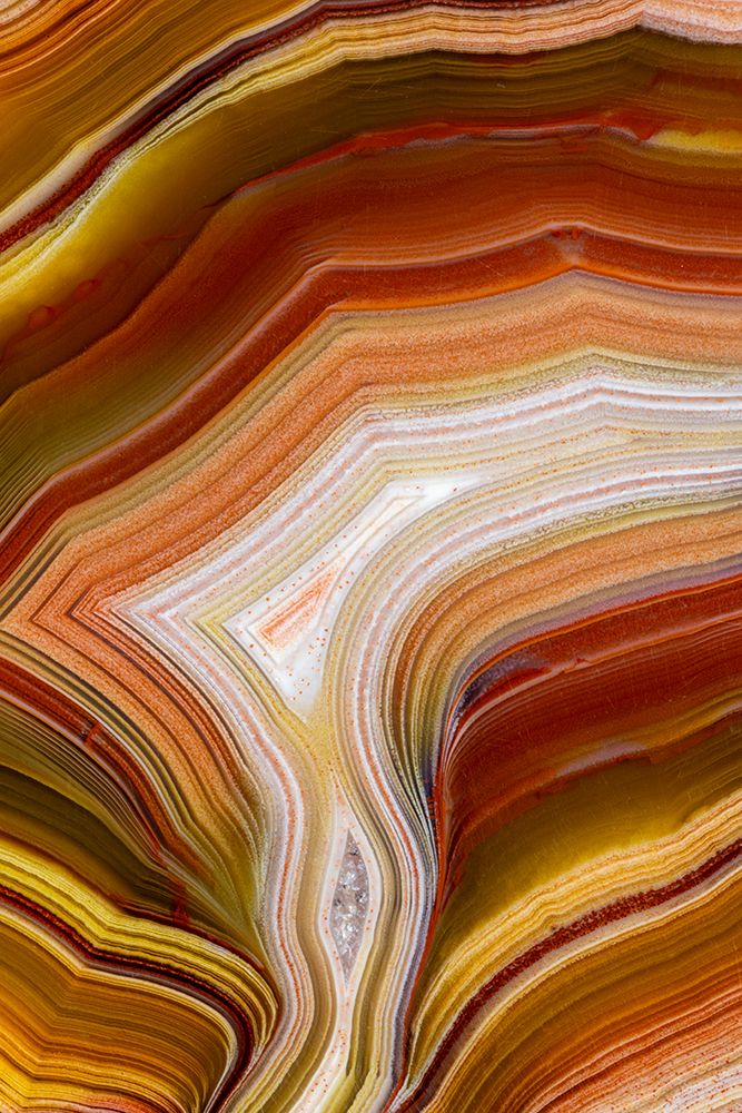 Laguna agate from Mexico art print by Darrell Gulin for $57.95 CAD