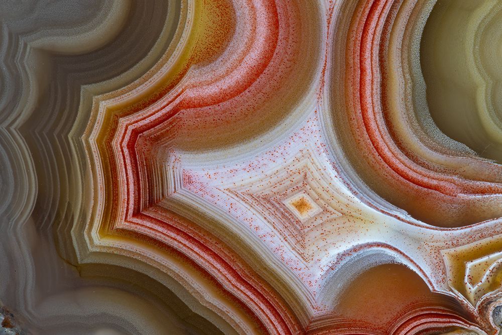 Laguna agate from Mexico art print by Darrell Gulin for $57.95 CAD