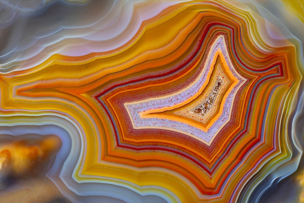 Laguna agate from Mexico art print by Darrell Gulin for $57.95 CAD