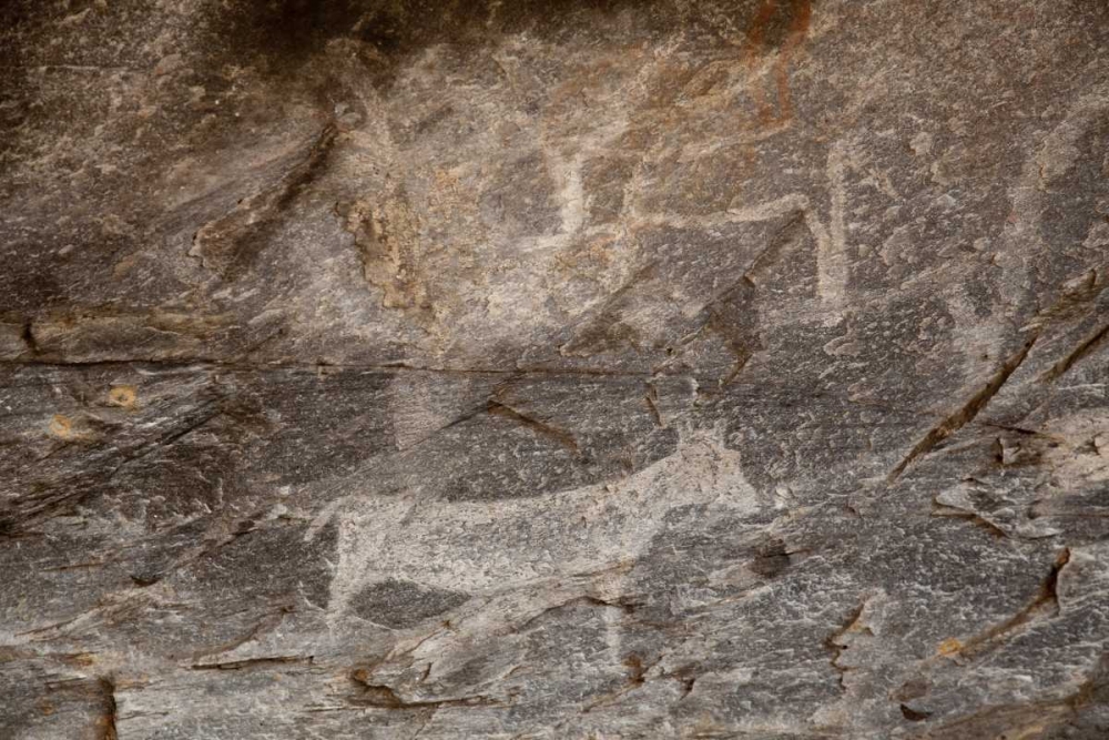 Africa, Botswana, Tsodilo Hills Bushman rock art art print by Wendy Kaveney for $57.95 CAD