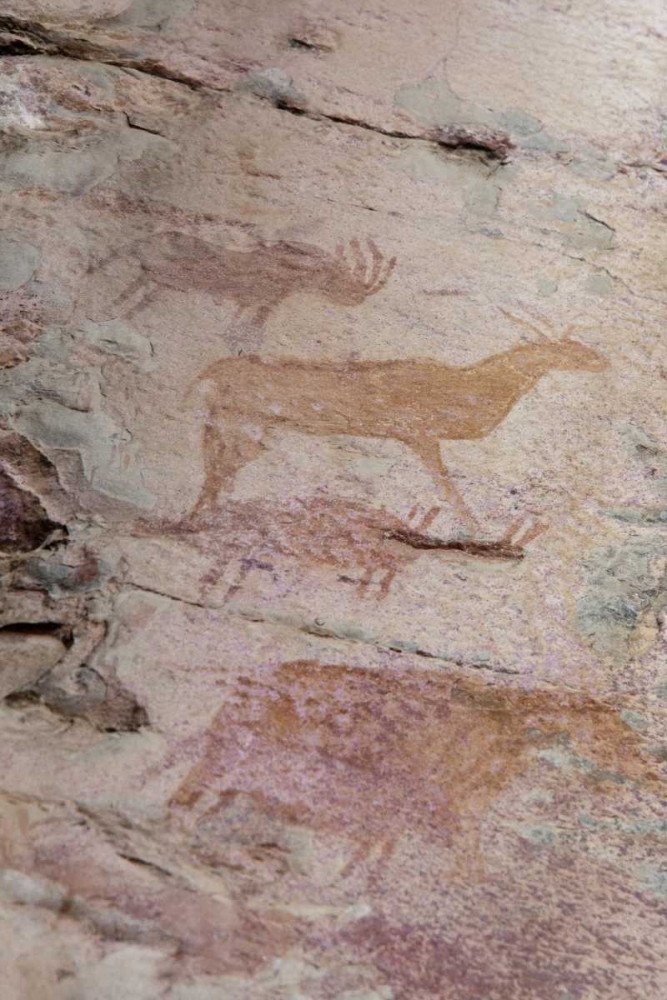Africa, Botswana, Tsodilo Hills Bushman rock art art print by Wendy Kaveney for $57.95 CAD