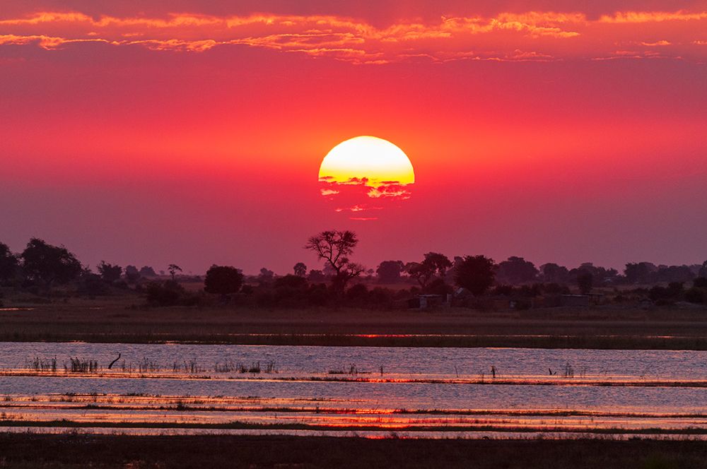 A colorful sunset along the banks of the Chobe River-Chobe National Park-Kasane-Botswana art print by Sergio Pitamitz for $57.95 CAD
