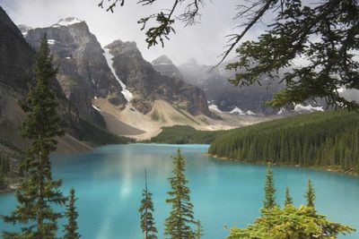 Alberta Art prints and posters