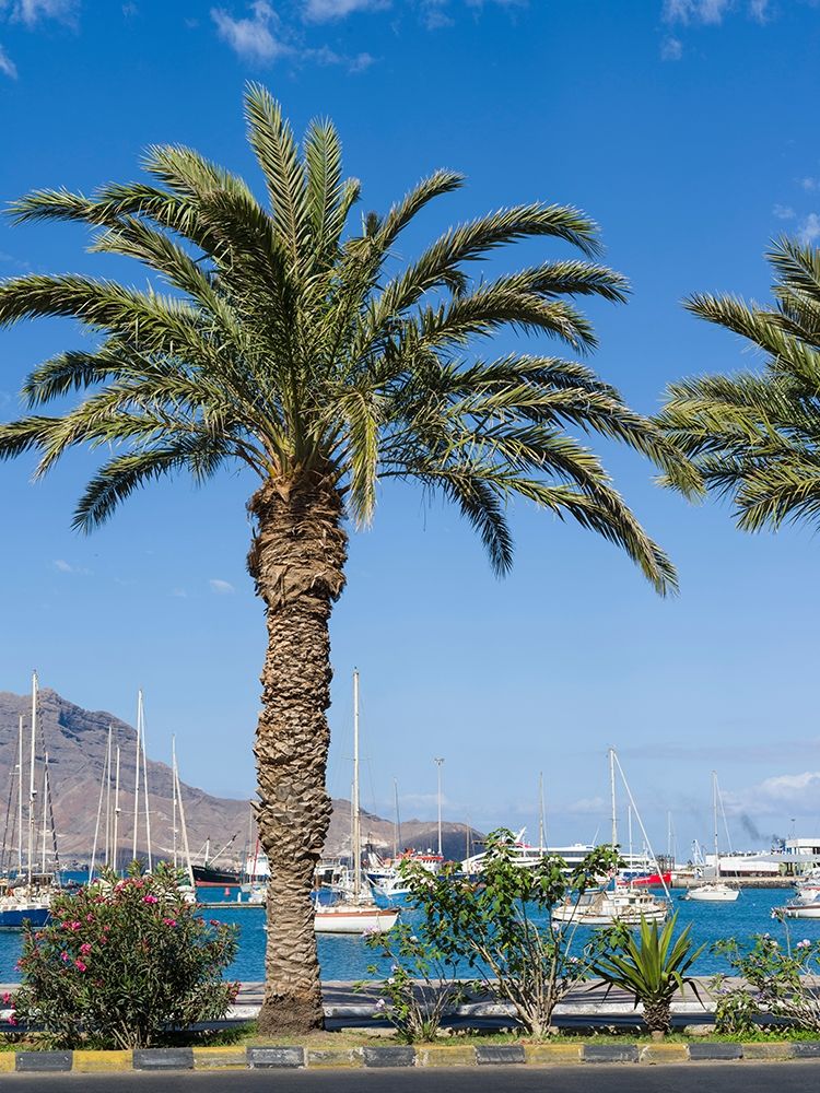 View of Marina and Porto Grande City Mindelo-a seaport on the island Sao Vicente-Cape Verde Africa art print by Martin Zwick for $57.95 CAD