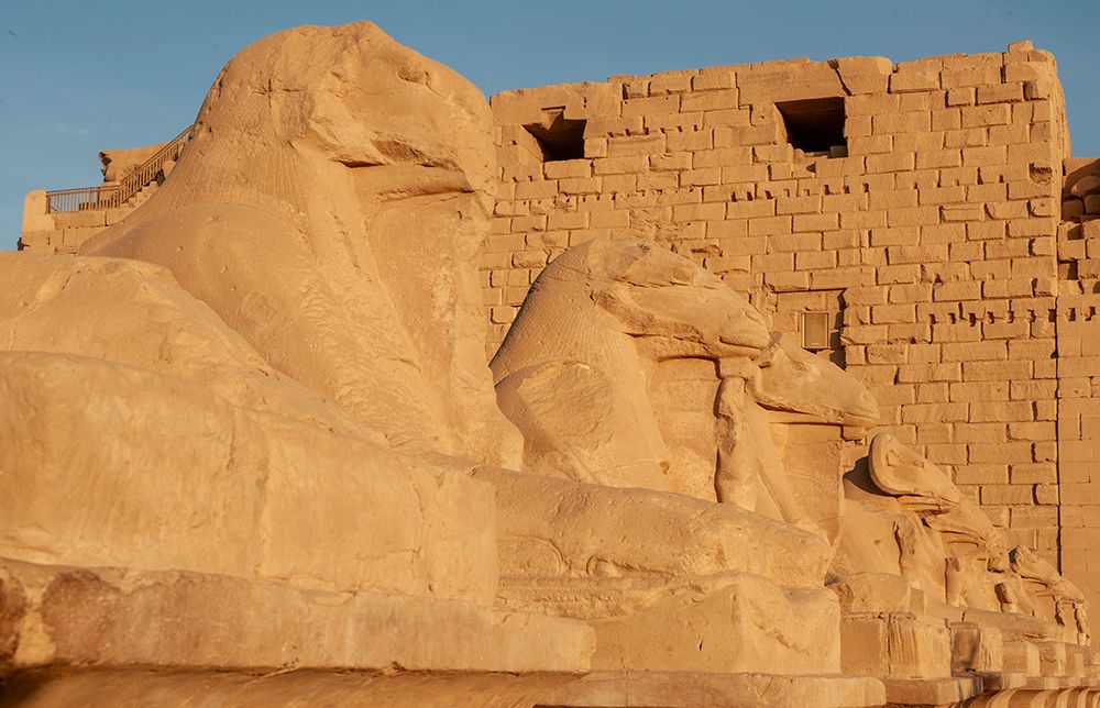 Africa, Egypt, Luxor. Close view of the Valley of the Kings statues at sunrise. art print by Alison Wright for $57.95 CAD