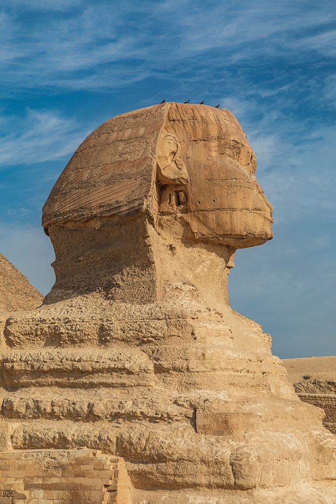 Africa-Egypt-Cairo Giza plateau Great Sphinx of Giza in front of the Great Pyramid of Giza art print by Emily Wilson for $57.95 CAD