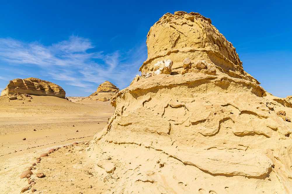 Faiyum-Egypt Whale fossil on an eroded bluff at Wadi el-Hitan paleontological site art print by Emily M. Wilson for $57.95 CAD