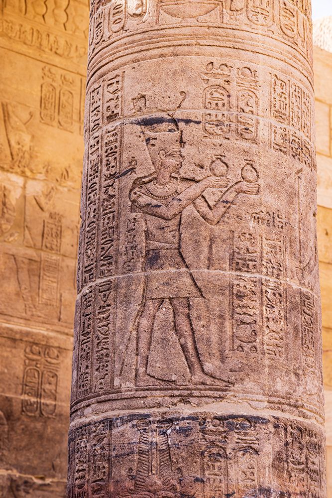 Agilkia Island-Aswan-Egypt Carvings on column at Philae Temple-a UNESCO World Heritage Site art print by Emily M. Wilson for $57.95 CAD