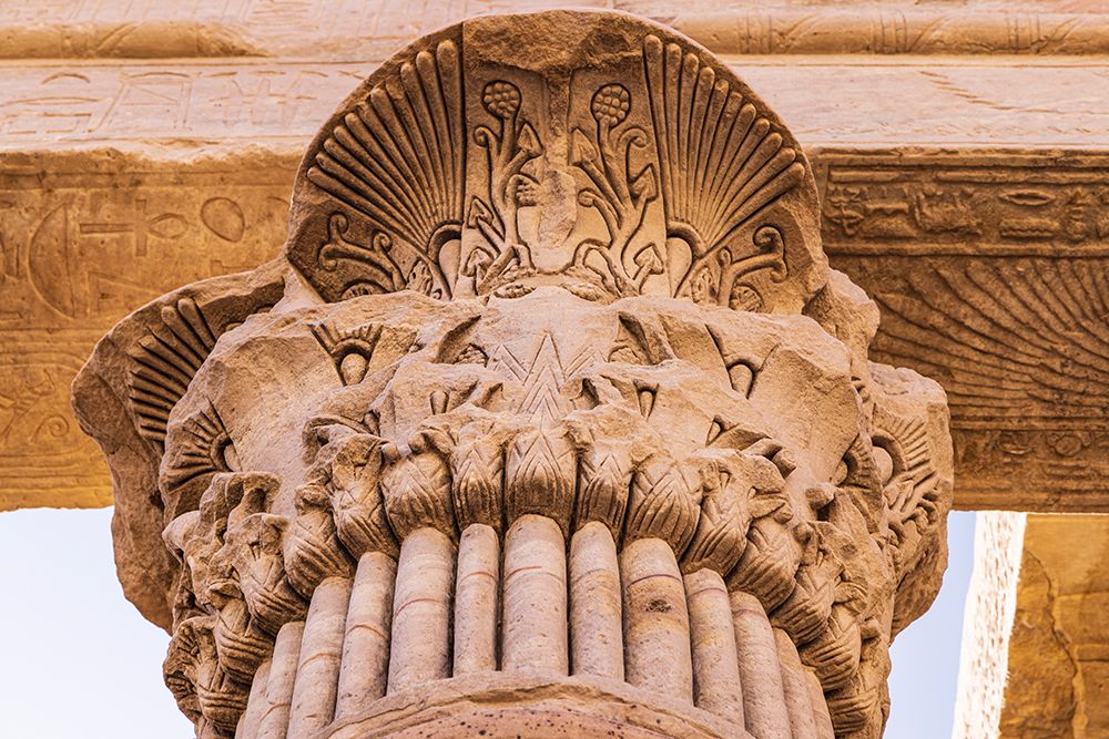 Aswan-Egypt Capital of a column carved like a palm-at the Philae Temple-a UNESCO Site art print by Emily M. Wilson for $57.95 CAD