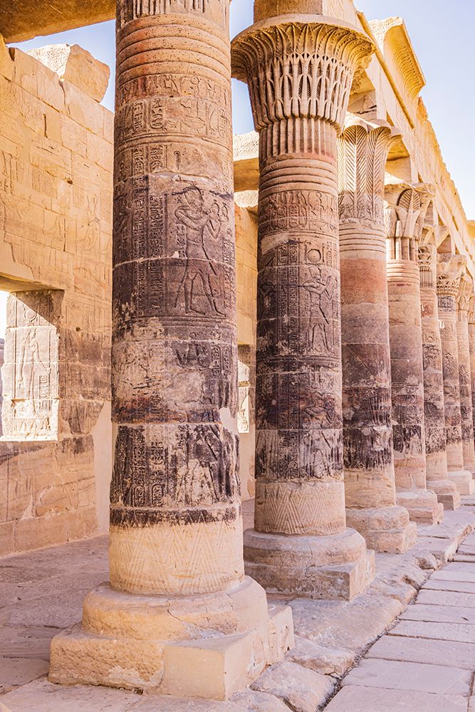 Agilkia Island-Aswan-Egypt Carvings on columns at the Philae Temple-UNESCO World Heritage Site art print by Emily M. Wilson for $57.95 CAD
