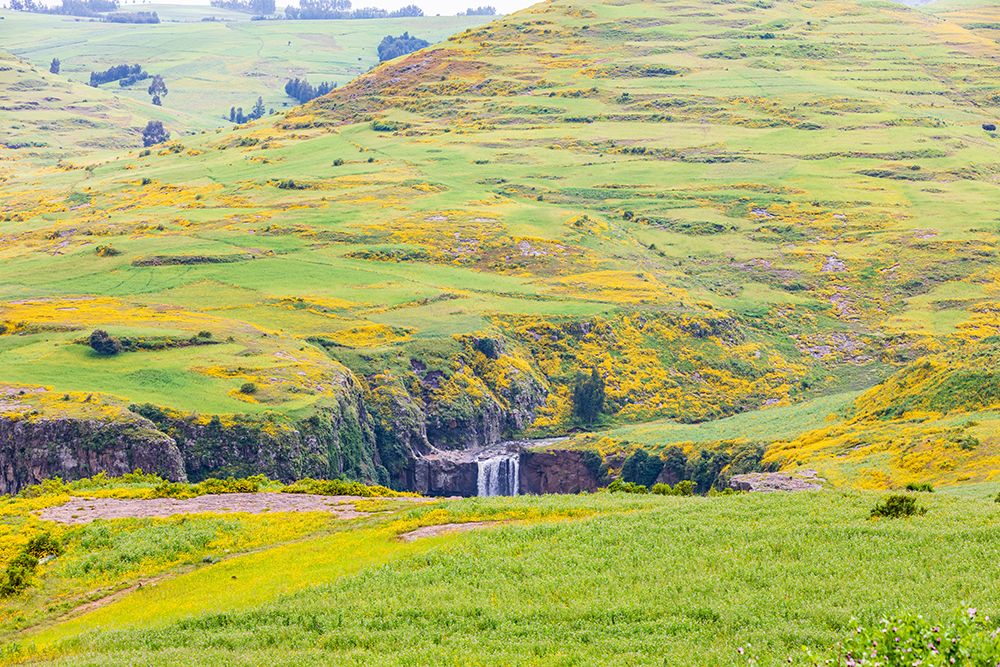 Ethiopia. Amhara. North Gondar. Small waterfall and wildflowers in the hills of Ethiopia. art print by Emily M. Wilson for $57.95 CAD